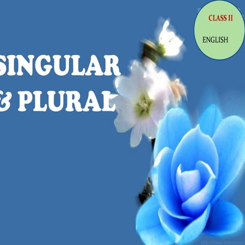 Singular plural