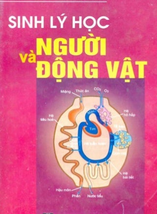 Sinh lý học người và động vật - PGS.TS Nguyễn Đức Hưng (Chủ biên)