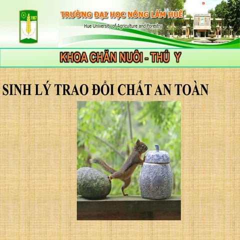 Trao đổi chất an toàn một cách tiếp cận mới Đàm Văn Tiện