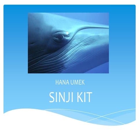 Sinji kit | PPTX