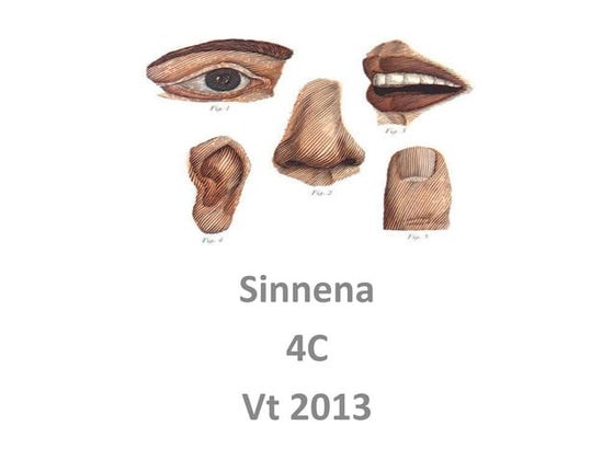 Våra 5 sinnen | PPTX