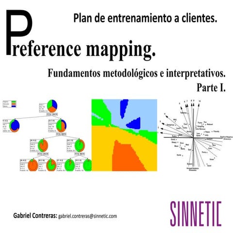 Sinnetic   prefference mapping