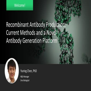 Recombinant Antibody Production: Current Methods and a Novel Antibody Generat...
