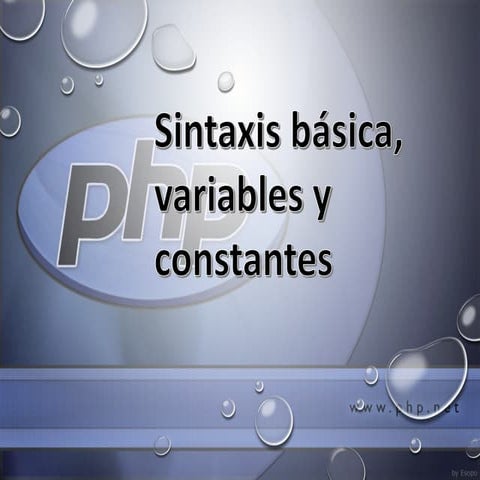 Sintaxis básica, variables y constantes