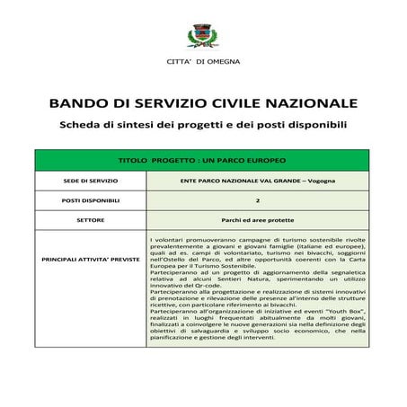 Sintesi dei progetti