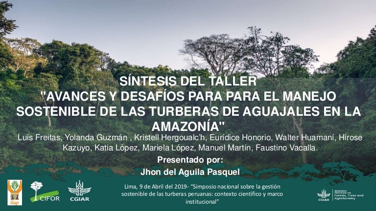 thumbnail of  Síntesis del taller “Avances y desafío para el manejo sostenible de las turberas de aguajales en la Amazonía”