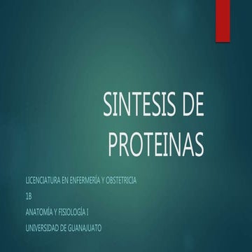 Sintesis de proteinas