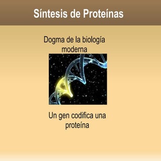 Sintesisn de proteínas