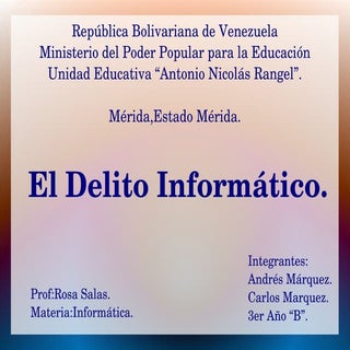 El Delito Informatico