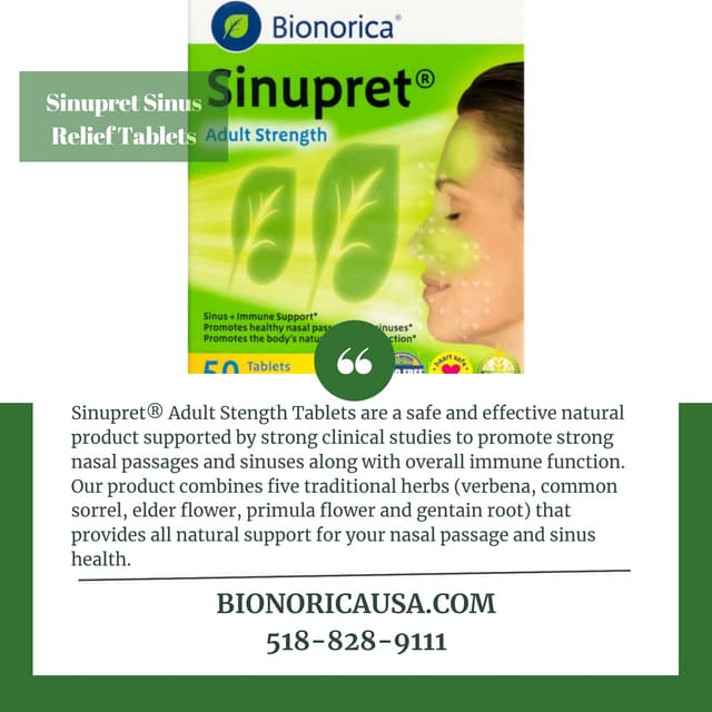 Pet Spa & Groomer in Alexandria VA