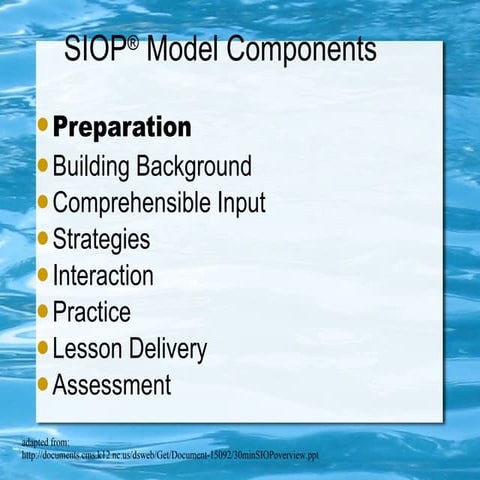 Siop presentation schnee