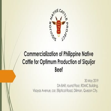 Promotion of Artificial Insemination as Breeding Tool for Cattle Production