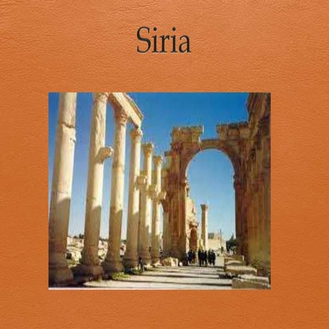 Cocina Asiatica Siria