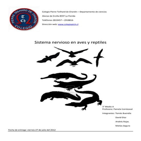 Sis. nervioso aves y reptiles