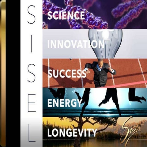 Sisel Business Presentation Overview 2015 | PPT