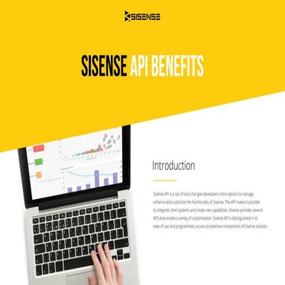 Sisense API Benefits