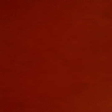 Sisson's anatomy (veterinary)