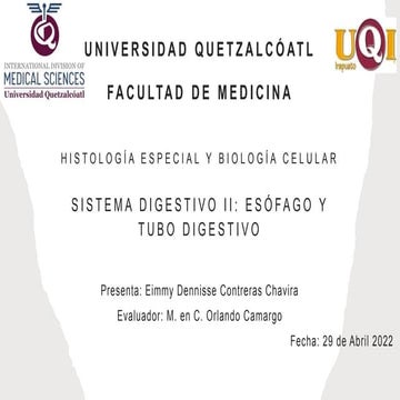 Sist. digestivo 2. Histología Ross