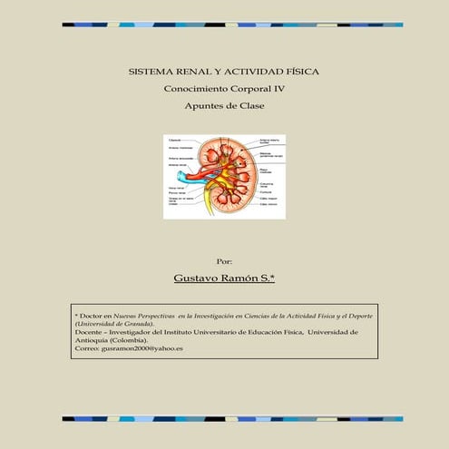 Anatomía renal macro y microscópica | PPTX