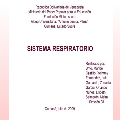 Sistema Respiratorio