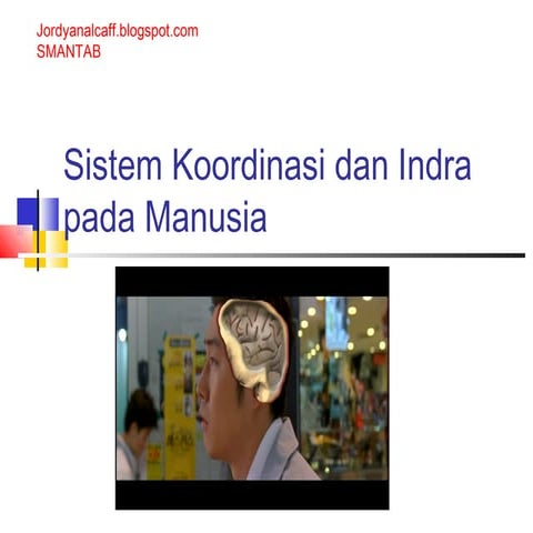 Sistem koordinasi-dan-indra-pada-manusia