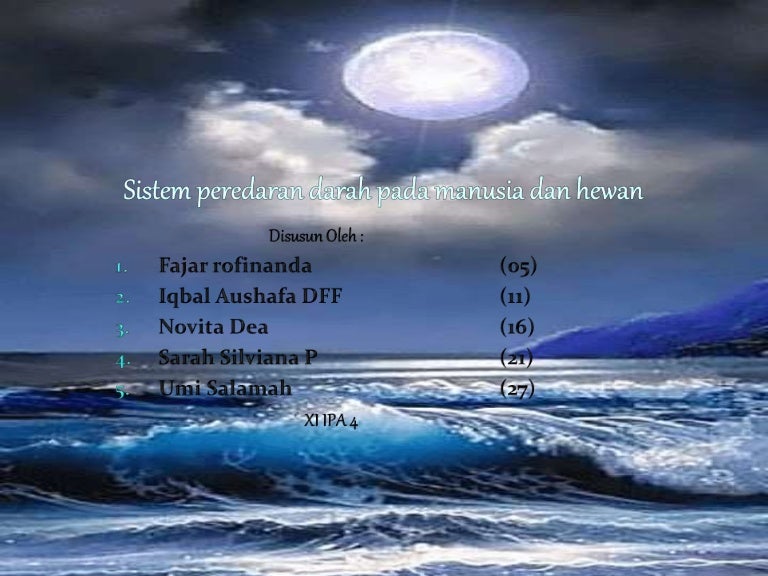 Sistem peredaran darah manusia dan hewan