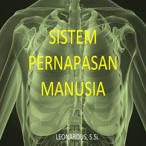 Sistem pernapasan-manusia (1)