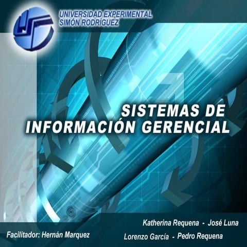 Sistema de informacion gerencial (SIG)