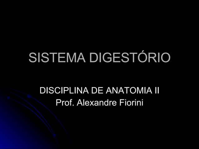 Sistema DigestóRio