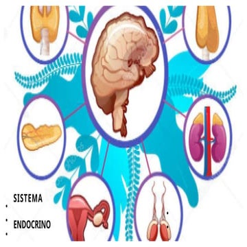 sistema-endocrino- de 2do de secundaria ppt.pptx