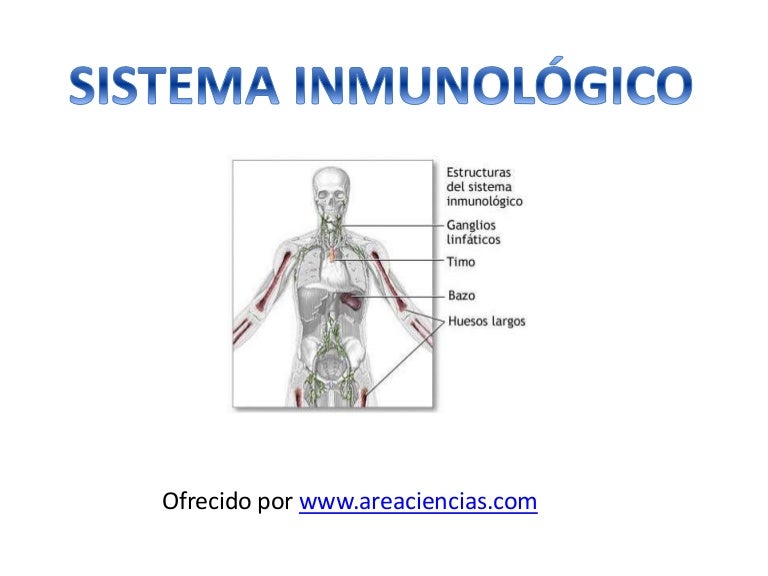Sistema Inmunologico