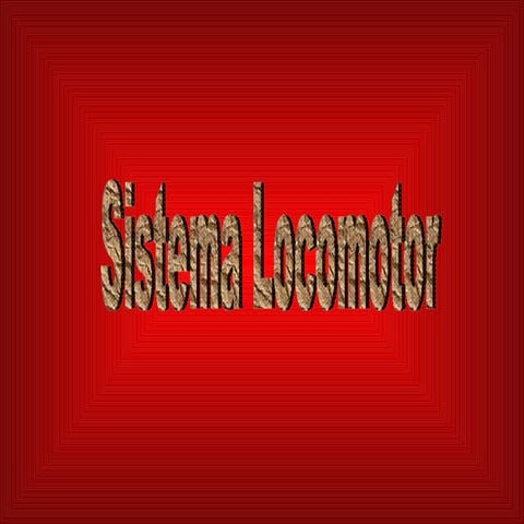 Sistema Locomotor