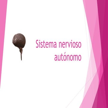 Sistema nervioso autónomo