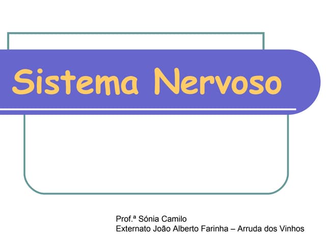 Sistema Nervoso