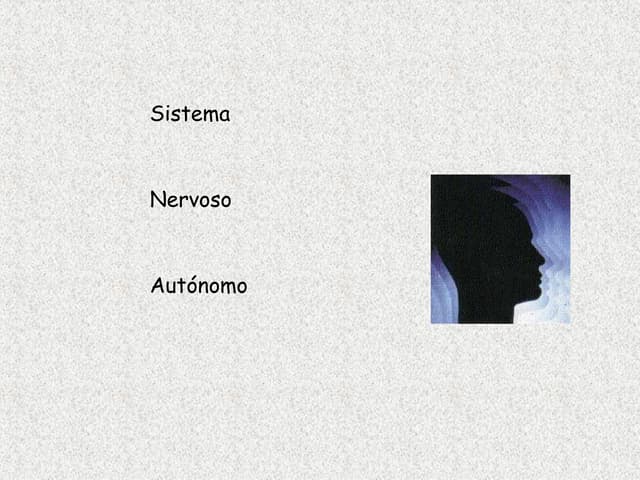 Sistema Nervoso Autonomo