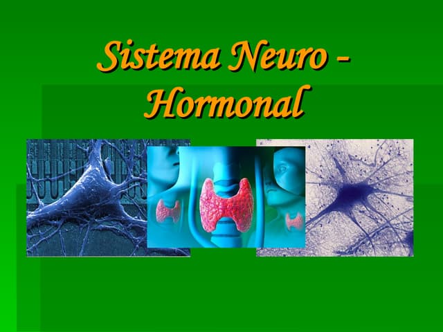 Sistema Neuro-hormonal