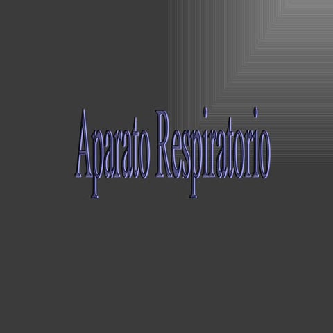 Sistema Respiratorio