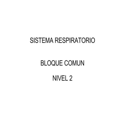 Sistema Respiratorio 1