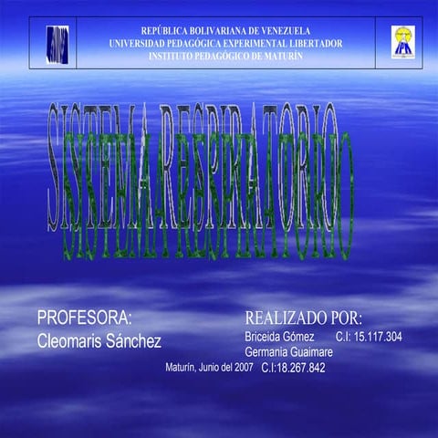 Sistema Respiratorio