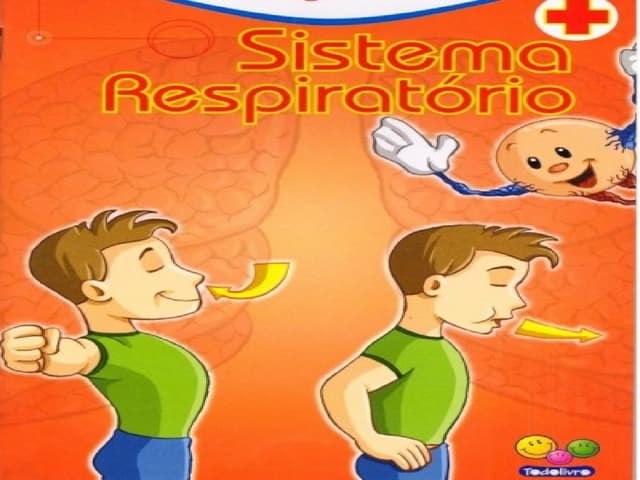 Sistema RespiratóRio