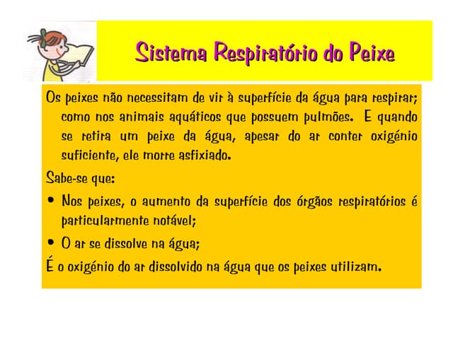 Sistema RespiratóRio Do Peixe