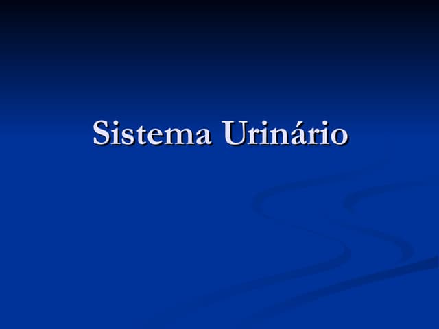Sistema Urinario