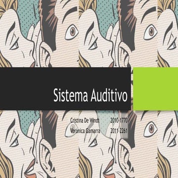Sistema auditivo