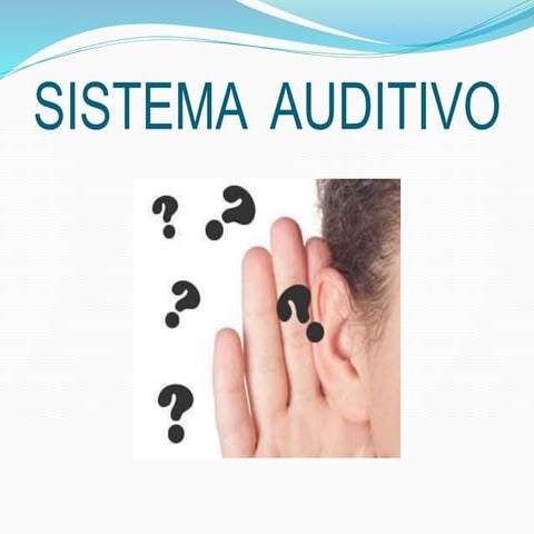 Sistema  auditivo