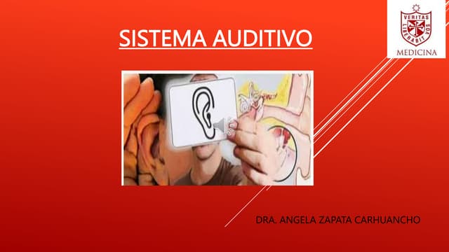 SISTEMA AUDITIVO PPT