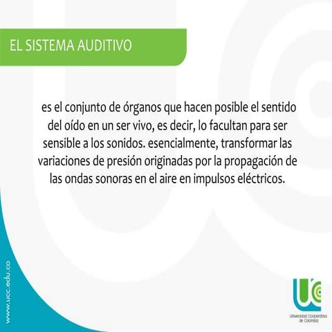 Sistema auditivo - ultima exposicion