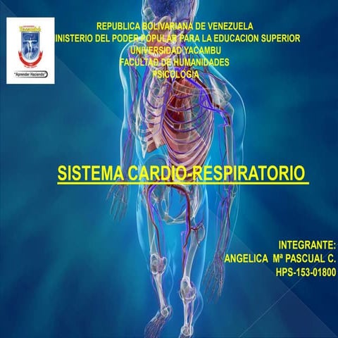 Sistema cardio respiratorio