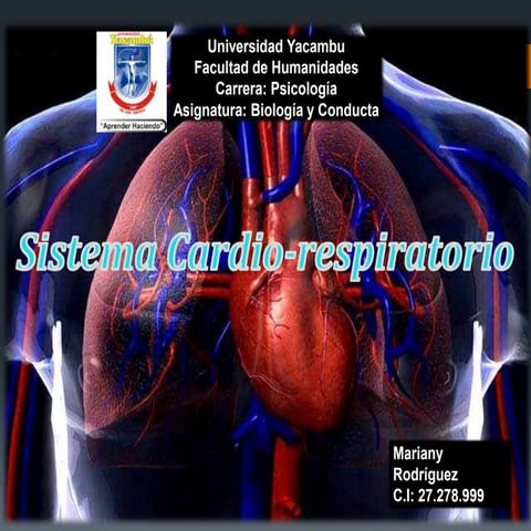 Sistema cardiorespiratorio