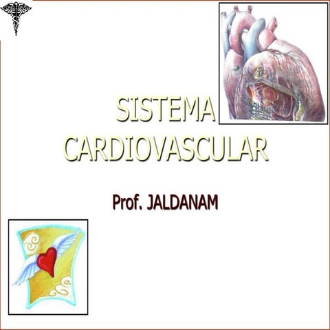 Sistema cardiovascular