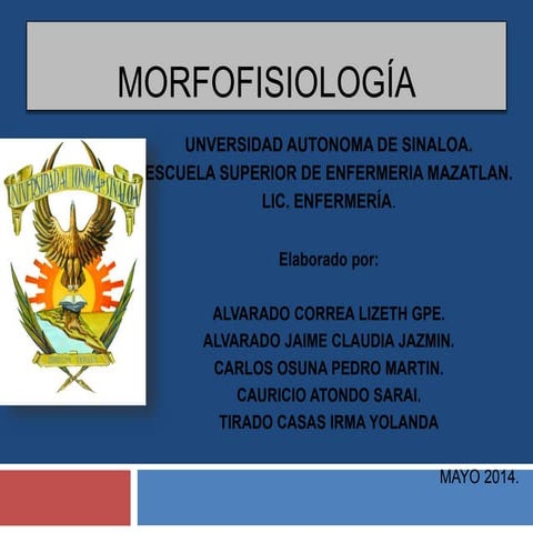 Sistema cardiovascular